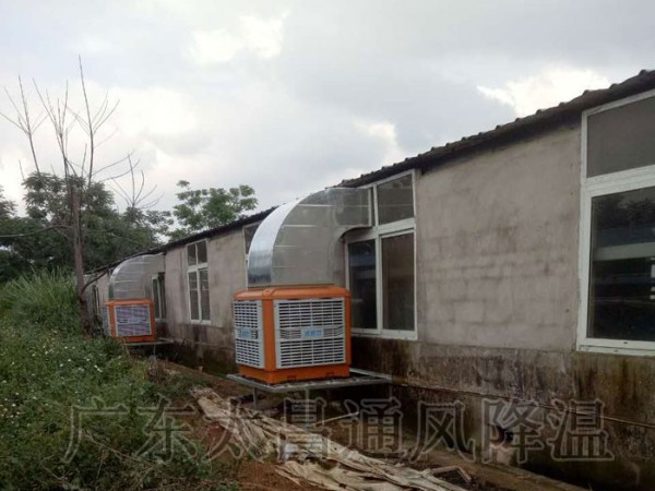 飼養(yǎng)廠|養(yǎng)豬場環(huán)?？照{(diào)通風(fēng)降溫案例