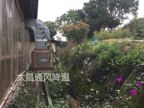 天氣太熱?環(huán)?？照{(diào)為你的餐廳守護清涼